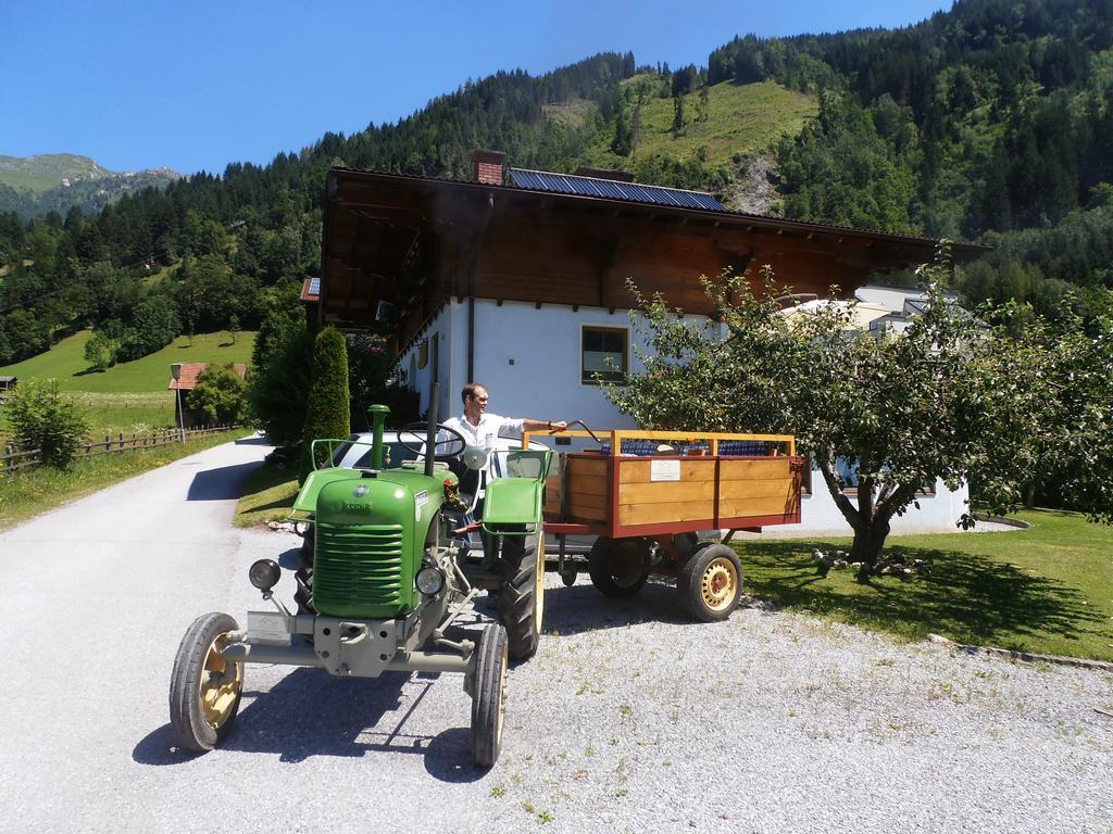 Landhaus Johanna Dorfgastein Buitenkant foto